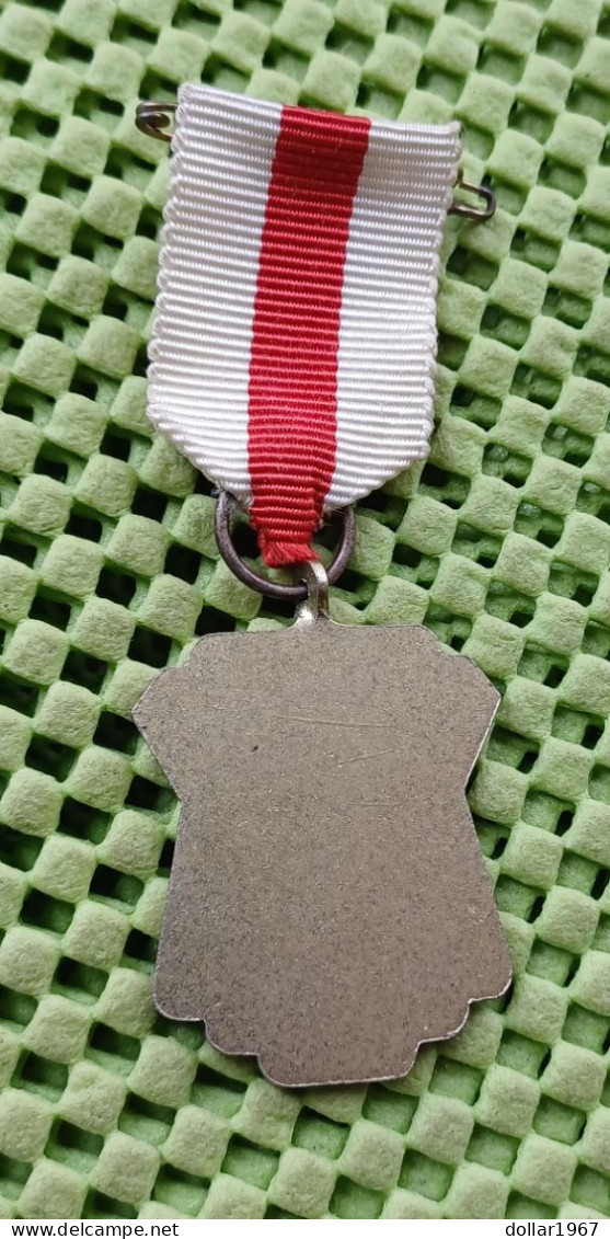 Medaille - A.W.K Rijssen 12-8-1967  -  Original Foto  !!  Medallion  Dutch - Sonstige & Ohne Zuordnung