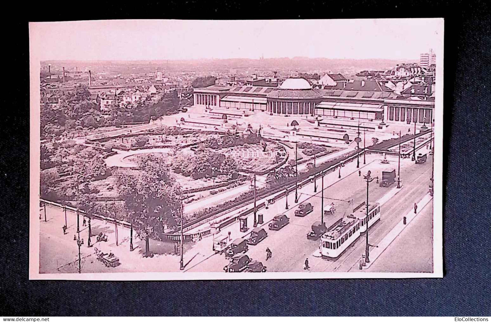 Cp, Belgique, Bruxelles, Jardin Botanique, Vierge, Ed. E. Thill - Forêts, Parcs, Jardins