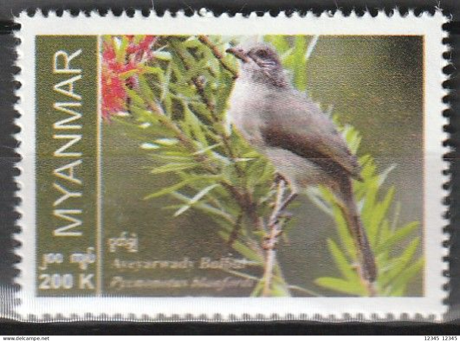 Myanmar 2022, Postfris MNH, Birds - Myanmar (Birmanie 1948-...)