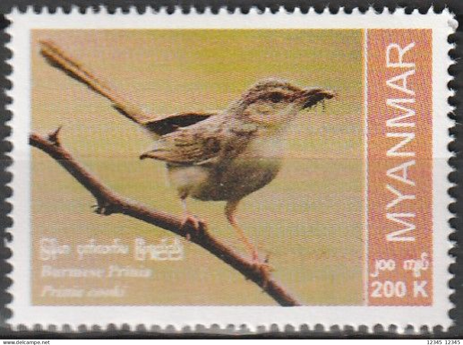 Myanmar 2022, Postfris MNH, Birds - Myanmar (Birmanie 1948-...)