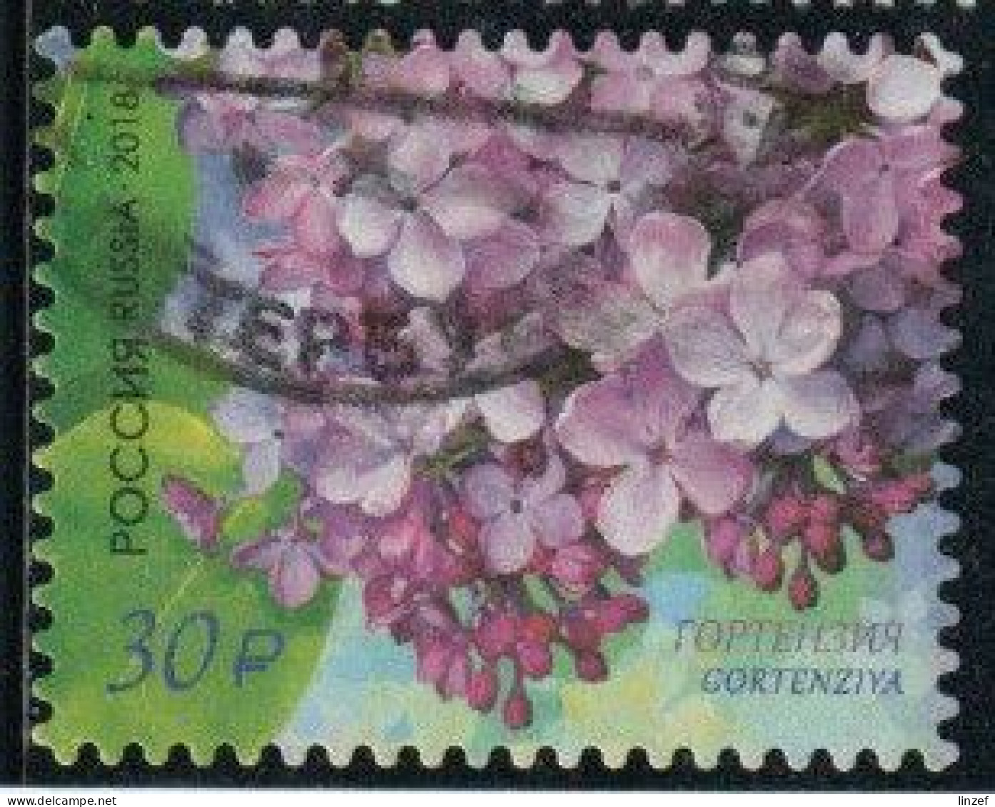 Russie 2018 Yv. N°7915 - Hortensia Lilas - Oblitéré - Oblitérés