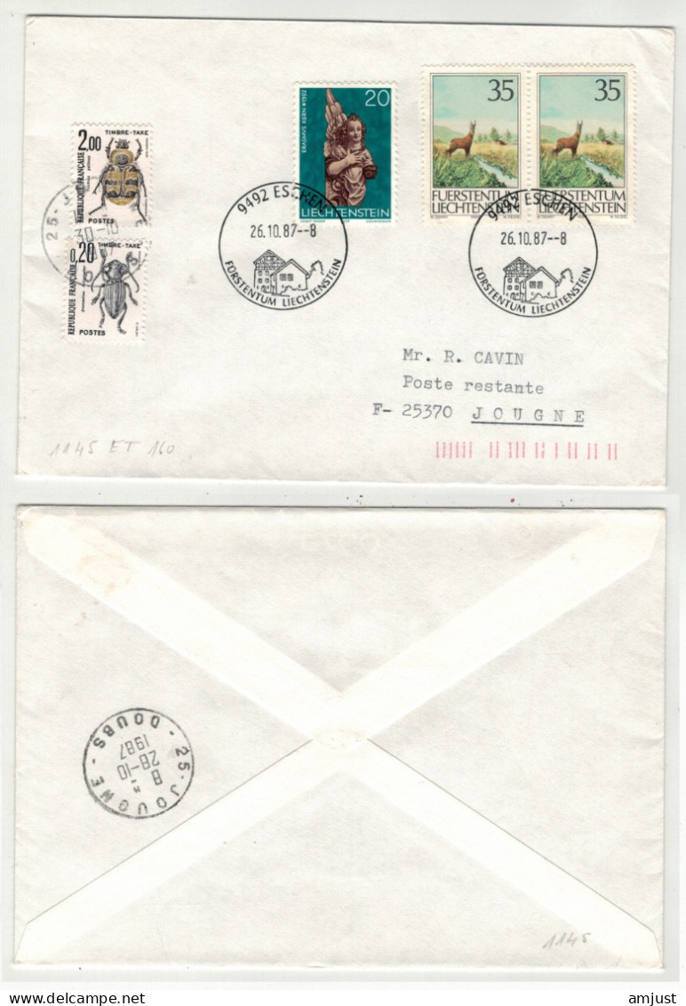 France // Lettre  Taxée Pour Jougne Au Départ Du Liechtenstein - 1960-.... Lettres & Documents