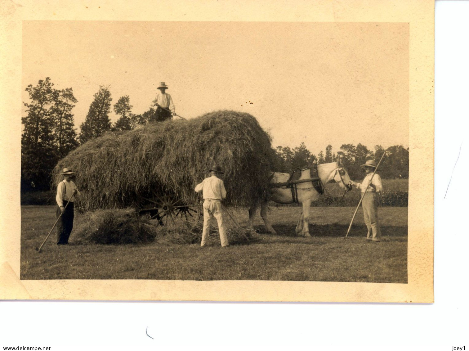 Photo De St Martin De Bréhal, Département De La Manche Années 1920 Format 13/18 - Places