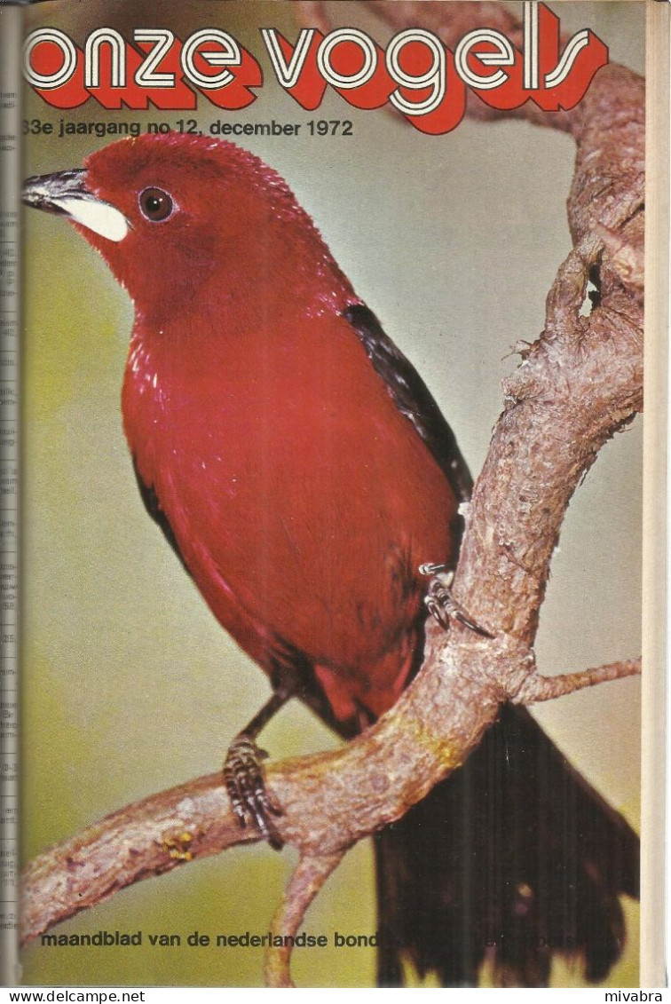 ONZE VOGELS 1972 - 33e JAARGANG VOLLEDIG - MAANDBLAD VAN DE NEDERLANDSE BOND VAN VOGELLIEFHEBBERS - Dieren