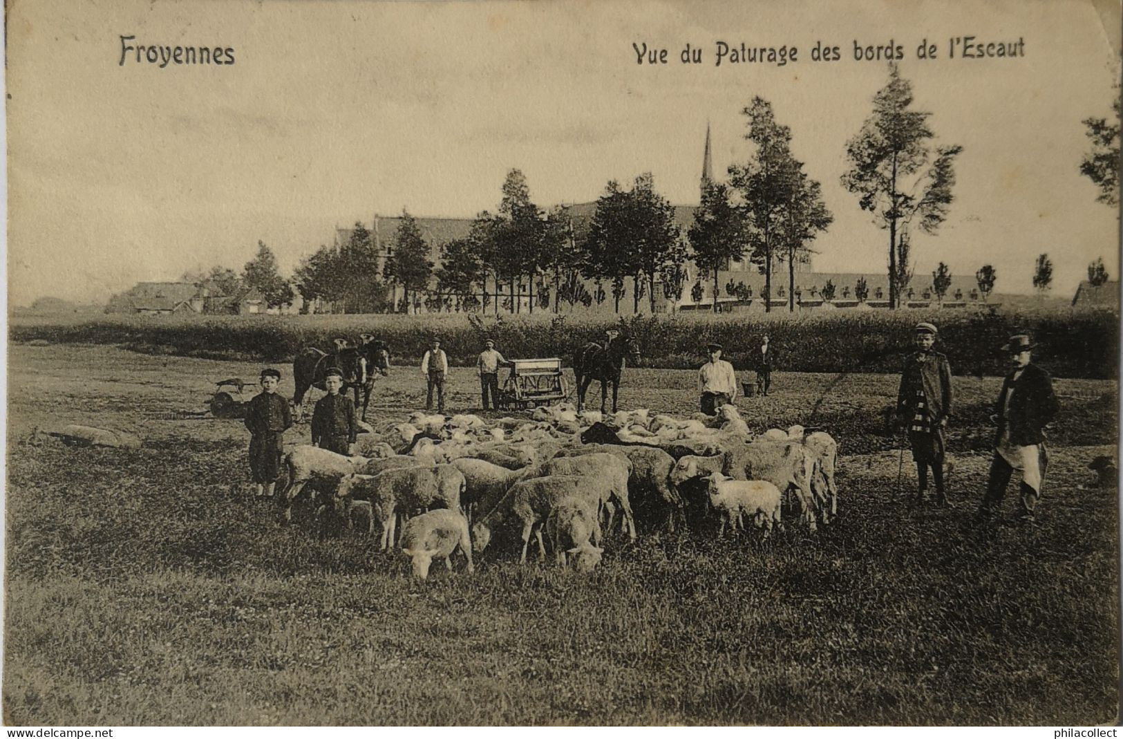 Froyennes // Vue Du Paturage Des Bords De L' Escaut 11 - 11- 1911 De Tulp - Other & Unclassified