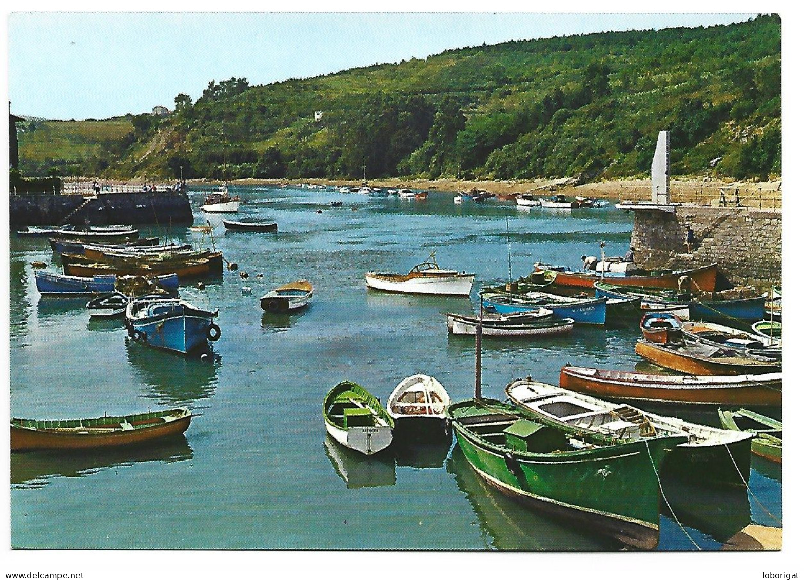 PUERTO DE PESCADORES / FISHERMEN'S HARBOUR / PORT DES PECHEURS.-  PLENCIA - VIZCAYA - ( PAIS VASCO ) - Vizcaya (Bilbao)