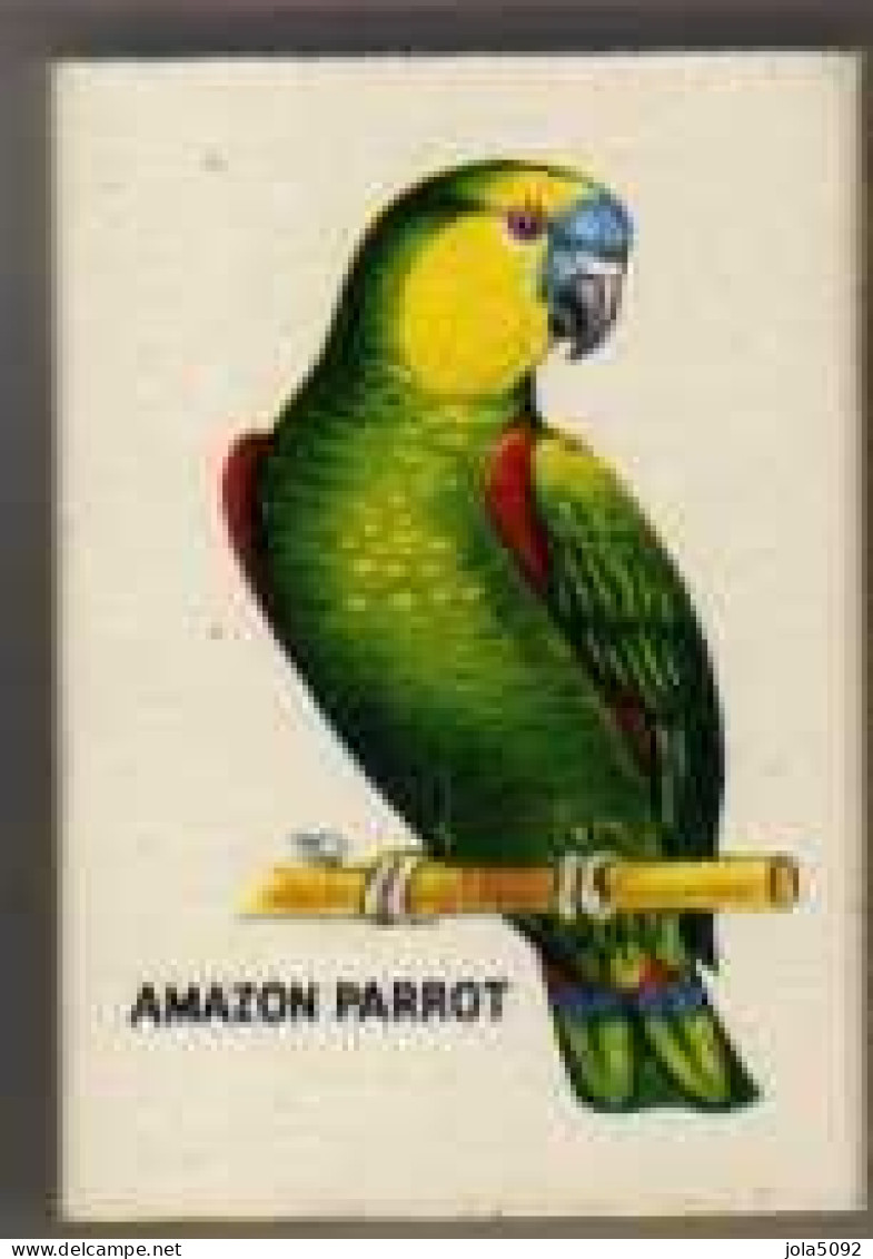 Boite D'Allumettes - ANGLETERRE/ ENGLAND - PERROQUET / PARROT - AMAZON PARROT - Luciferdozen