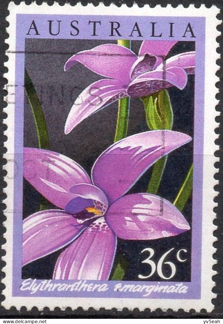 AUSTRALIA/1986/USED/SC#997/ ORCHIDS/ FLOWERS/ 36c ELYTHRANTHERA EMARGINATA - Used Stamps