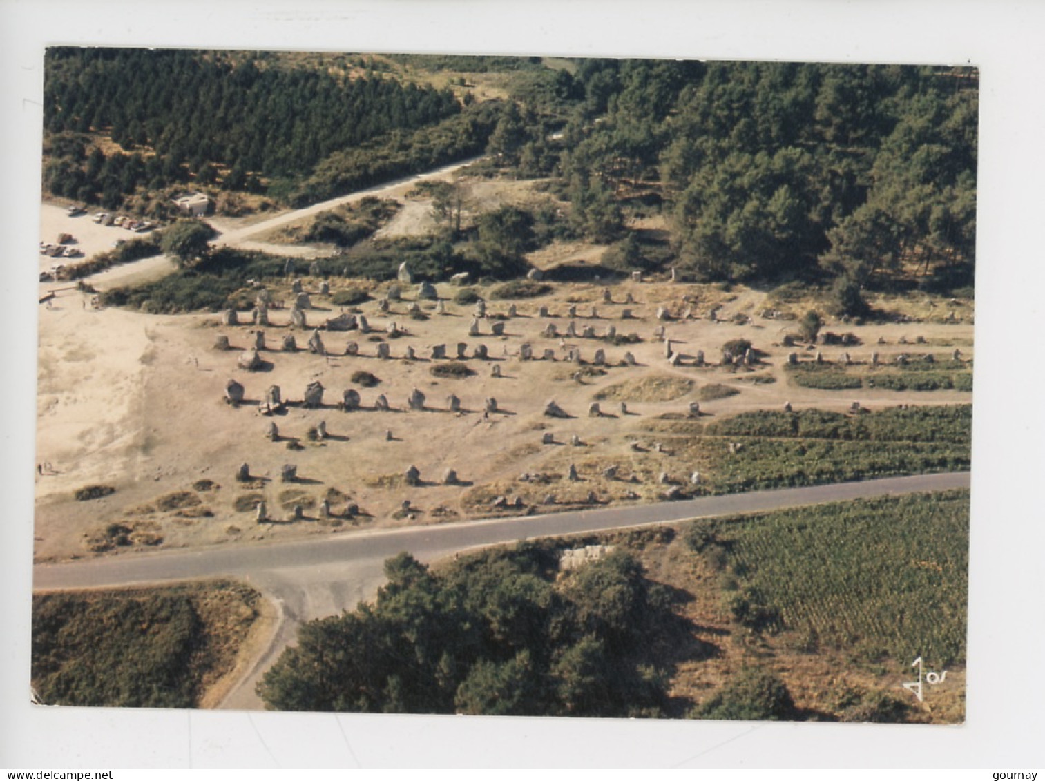 Carnac - La Partie Ouest Des Alignements De Kermario, L 1120m L 100 M 1029 Menhirs 10 Lignes (n°1771 Jos Cp Vierge) - Dolmen & Menhirs