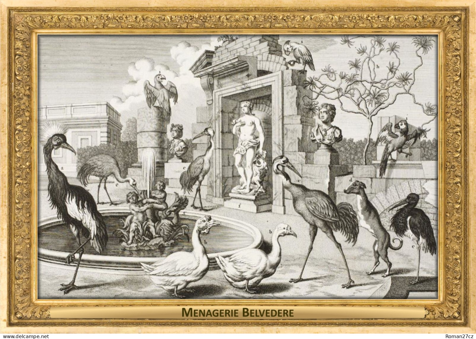 M115 Zoo - Menagerie Belvedere, AT - Salomon Kleiner, 1734 - Crane, Stork, Dog, Geese, Macaw - Belvedere
