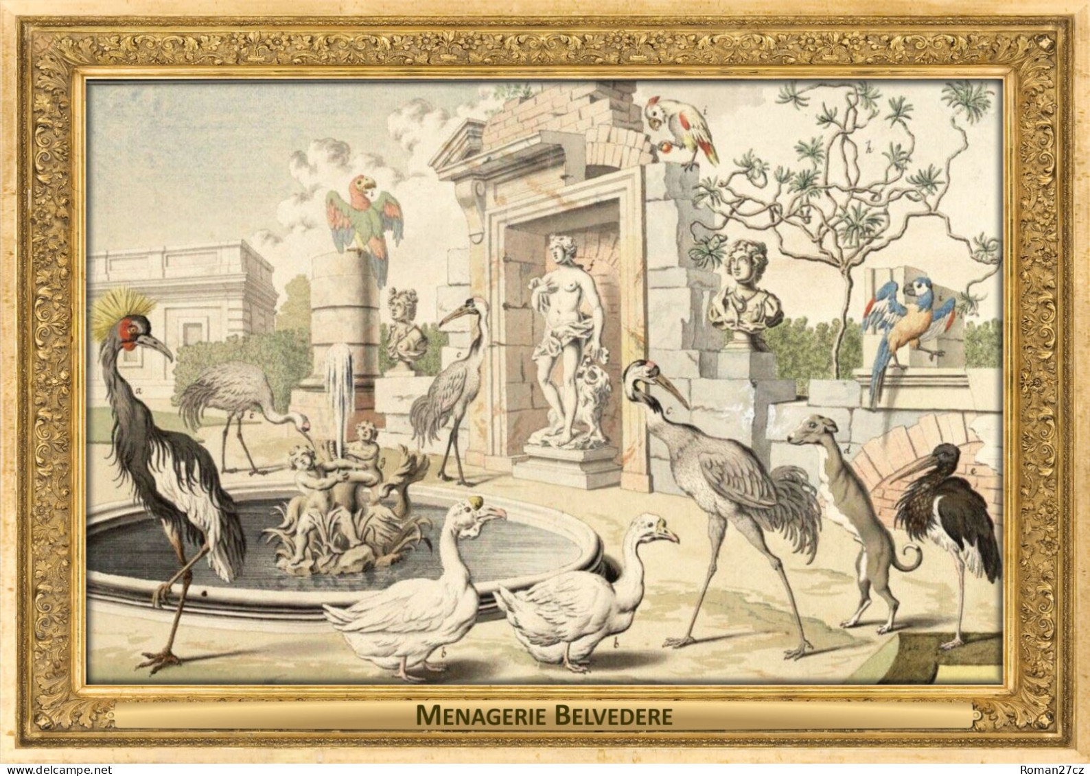 M116 Zoo - Menagerie Belvedere, AT - Salomon Kleiner, 1734 - Crane, Stork, Dog, Geese, Macaw - Belvedere