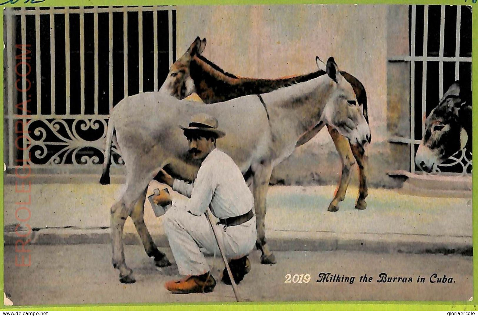 Aa6051 - CUBA - Vintage Postcard - Ethnic - Amérique