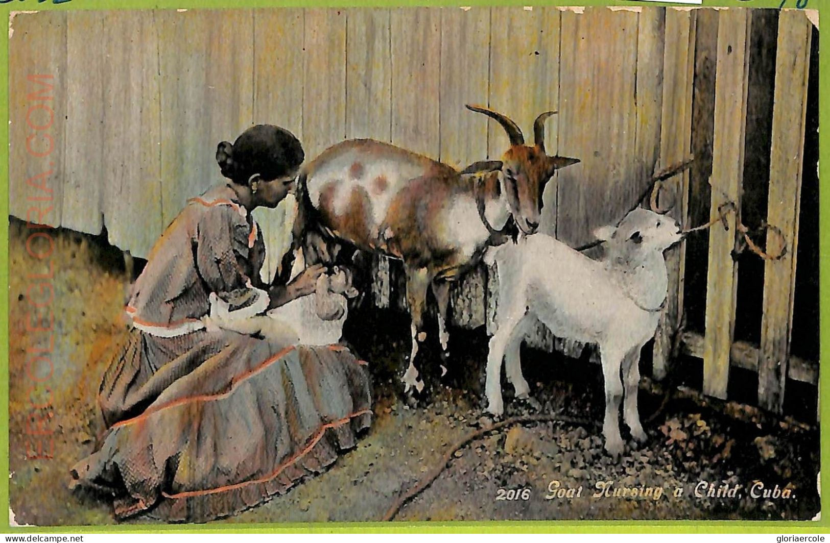 Aa6050 - CUBA - Vintage Postcard - Ethnic - America