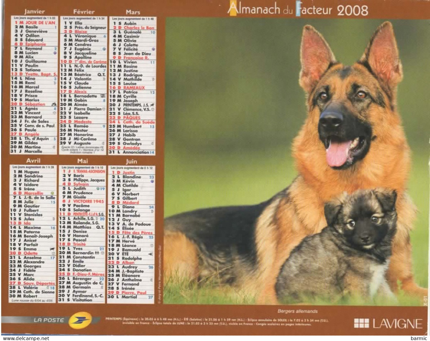 CALENDRIER ANNEE 2008, COMPLET, CHIENS COULEUR REF 14404 - Grand Format : 2001-...