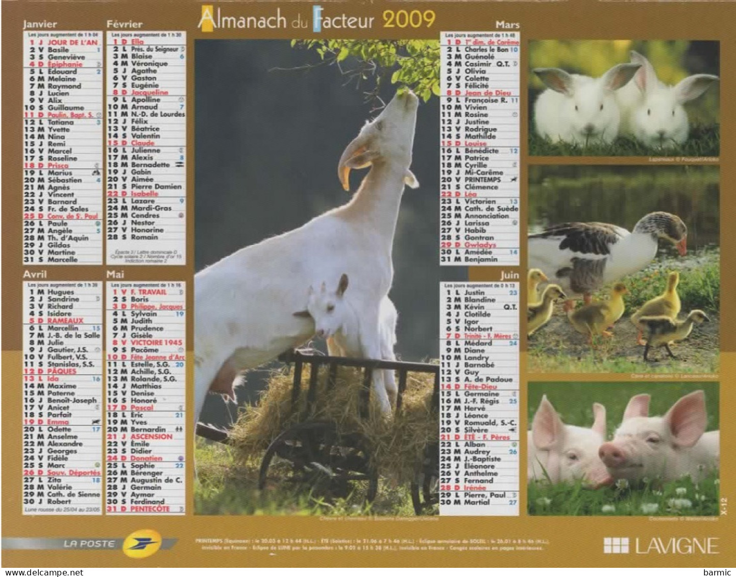 CALENDRIER ANNEE 2009, COMPLET, ANIMAUX DE FERME, MULTIVUE COULEUR REF 14405 - Formato Grande : 2001-...