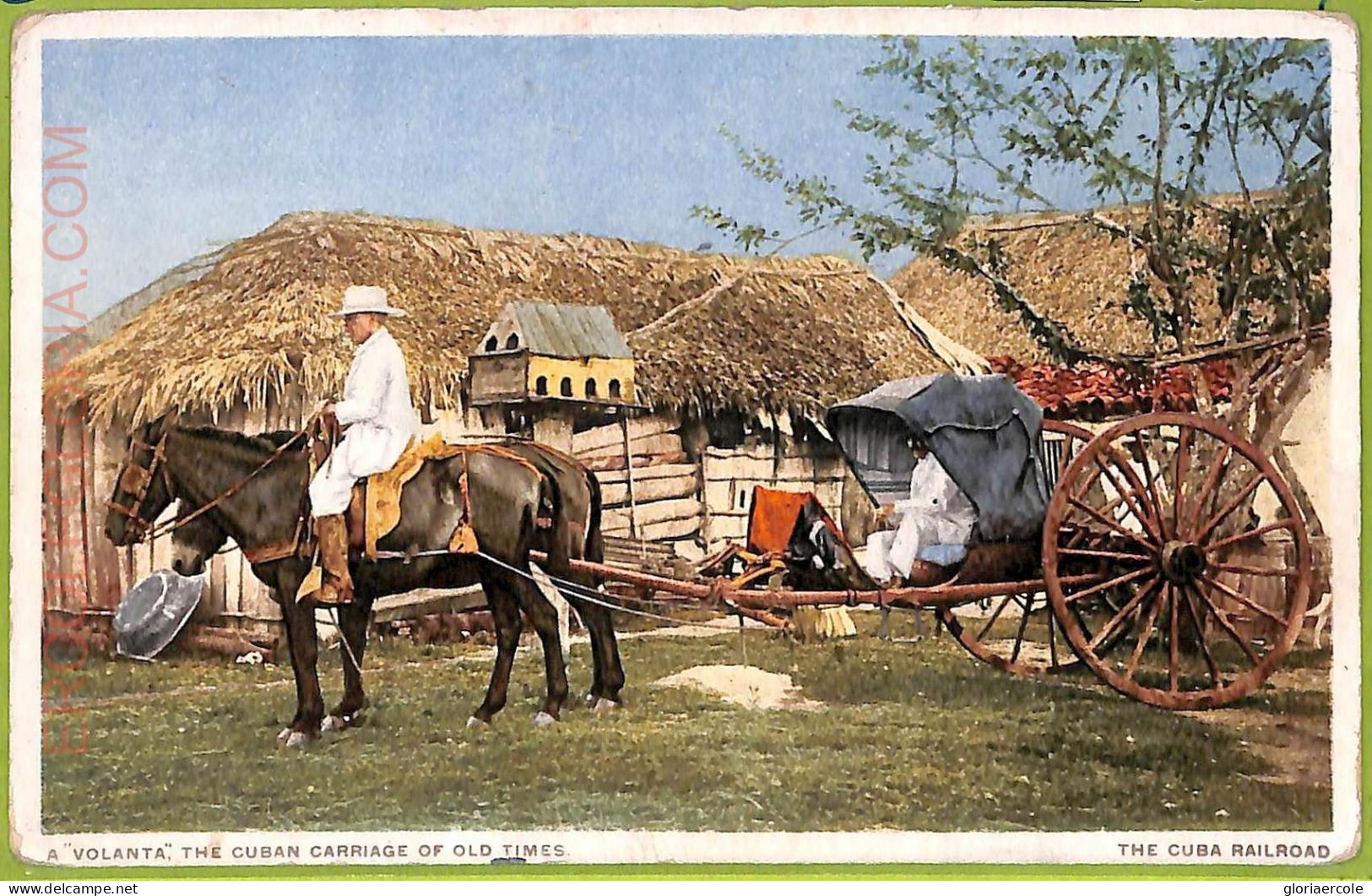 Aa5986 - CUBA - Vintage Postcard - Ethnic - America