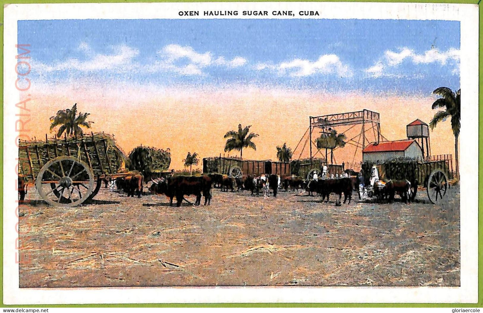 Aa5972 -CUBA - Vintage Postcard -  Ethnic - America