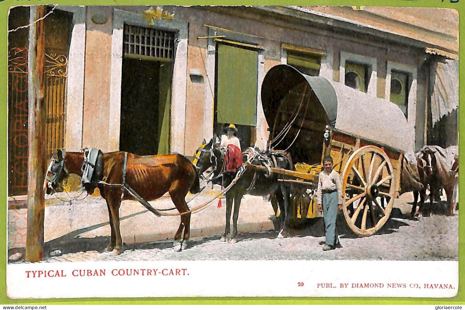 Aa5948 - CUBA - Vintage Postcard - Ethnic - America