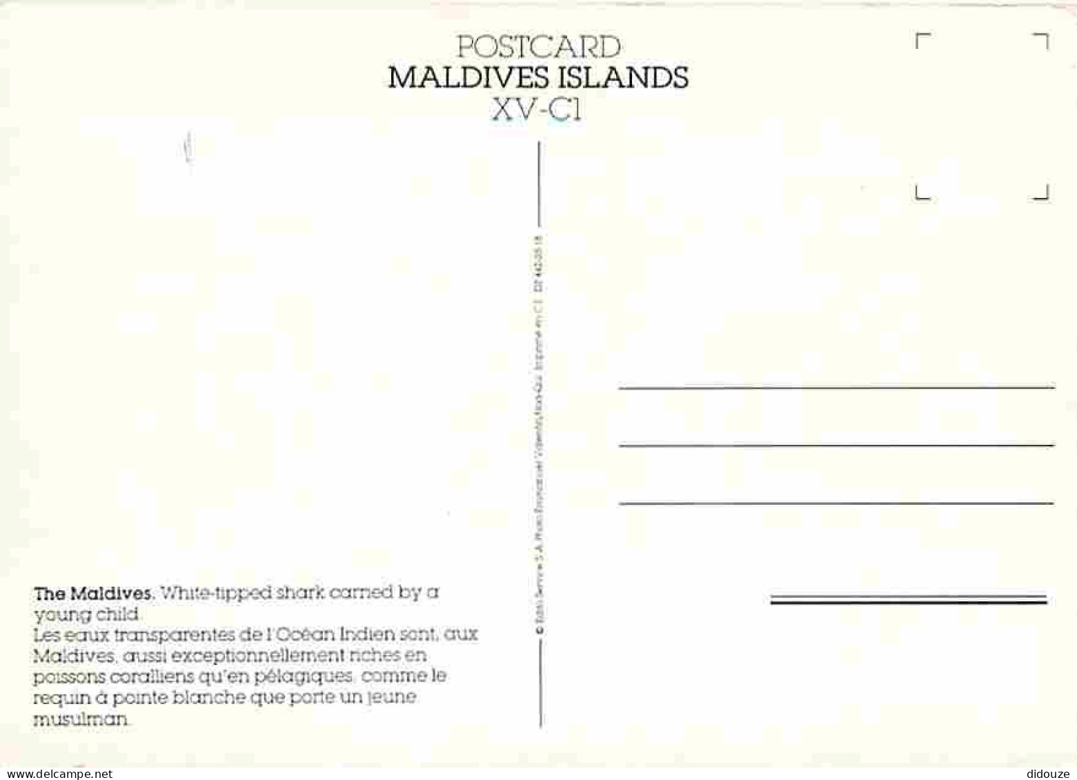 Maldives - White-tipped Shark Comed By A Young Child - Enfants - Carte Neuve - CPM - Voir Scans Recto-Verso - Maldivas