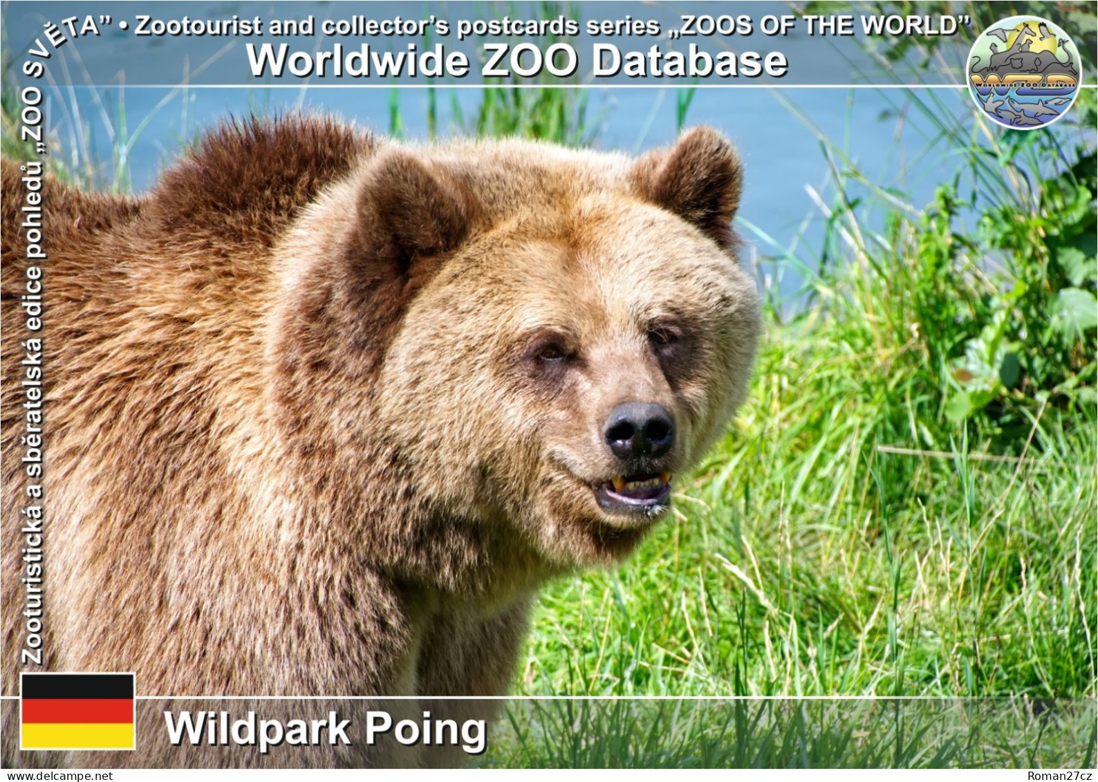 01338 WZD • ZOO - Wildpark Poing, DE -  European Brown Bear (Ursus Arctos Arctos) - Ebersberg