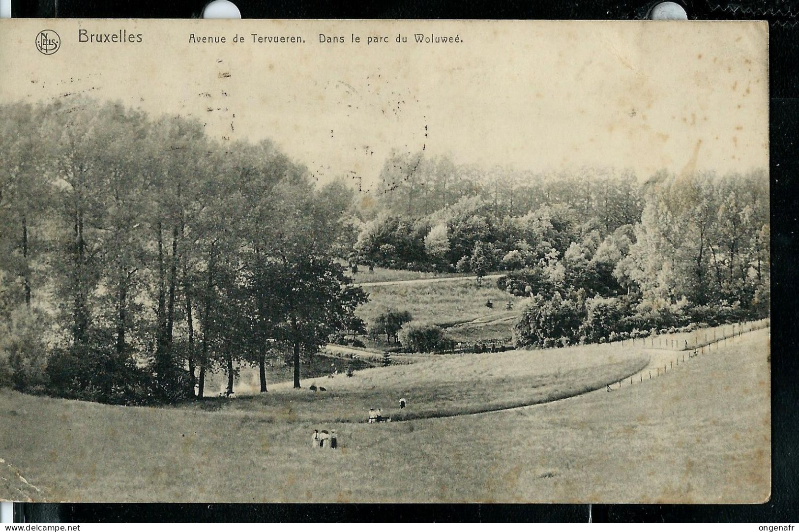 Avenue De Tervuren - Dans Le Parc Du Woluwé -  Obl. 04/12/1913 - St-Lambrechts-Woluwe - Woluwe-St-Lambert