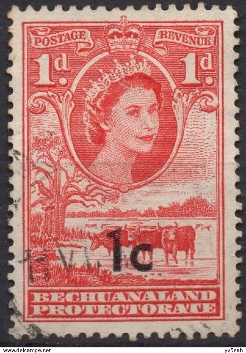 BECHUANALAND PROTECTORATE/1961/USED/SC#169/QUEEN ELIZABETH II / QEII / CATTLE AND BAOBAB / 1p  ON 1c - 1885-1964 Protectorat Du Bechuanaland