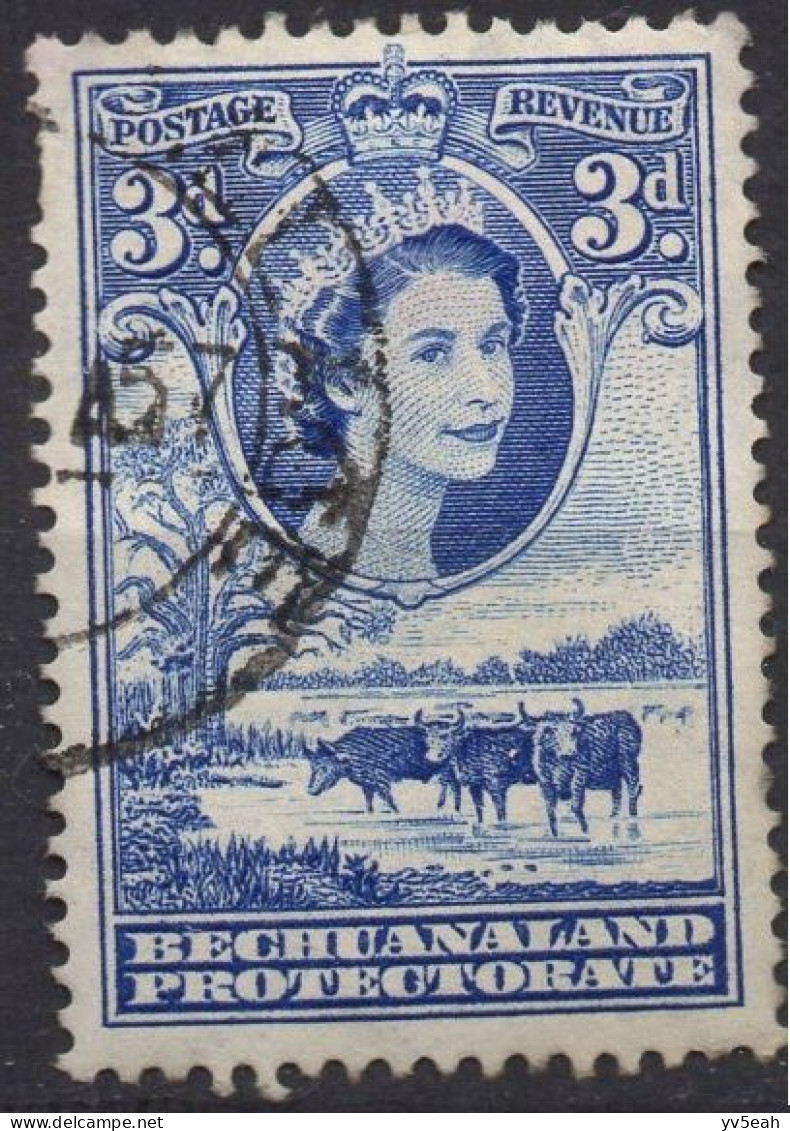 BECHUANALAND PROTECTORATE/1955-8/USED/SC#157/QUEEN ELIZABETH II / QEII / CATTLE AND BAOBAB / 3p ULTRA - 1885-1964 Protectorat Du Bechuanaland