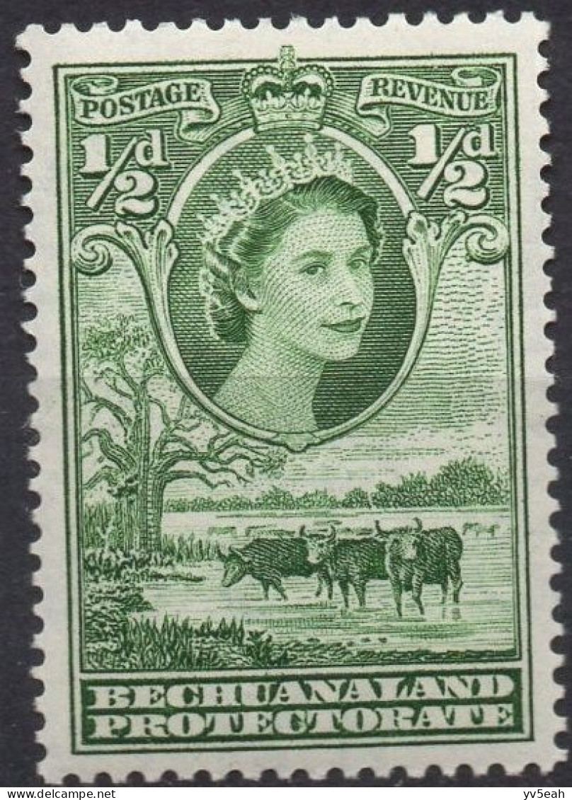 BECHUANALAND PROTECTORATE/1955-8/MNH/SC#154/QUEEN ELIZABETH II / QEII / CATTLE AND BAOBAB / 1/2p GREEN - 1885-1964 Bechuanaland Protettorato