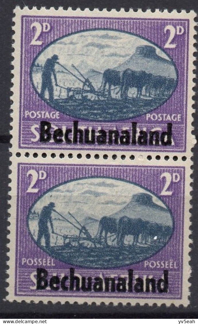 BECHUANALAND PROTECTORATE/1945/MNH/SC#138/SOUTH AFRICA OVERPRINTED PAIR / VERTICAL PAIRS/ 2p VIOLET & SLATE BLUE - 1885-1964 Bechuanaland Protectorate