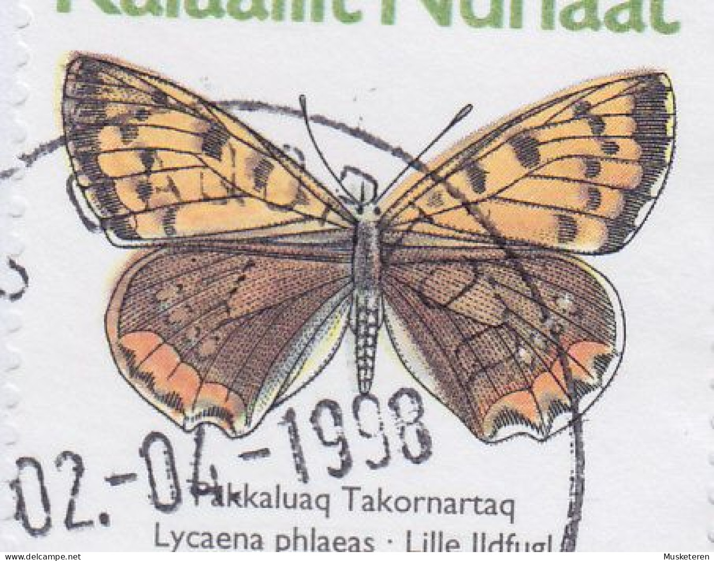 Greenland PRIORITAIRE Label QAQORTOQ 1998 Cover Brief Schmetterling Butterfly Papillon ERROR Variety 'Misplaced Colour' - Covers & Documents