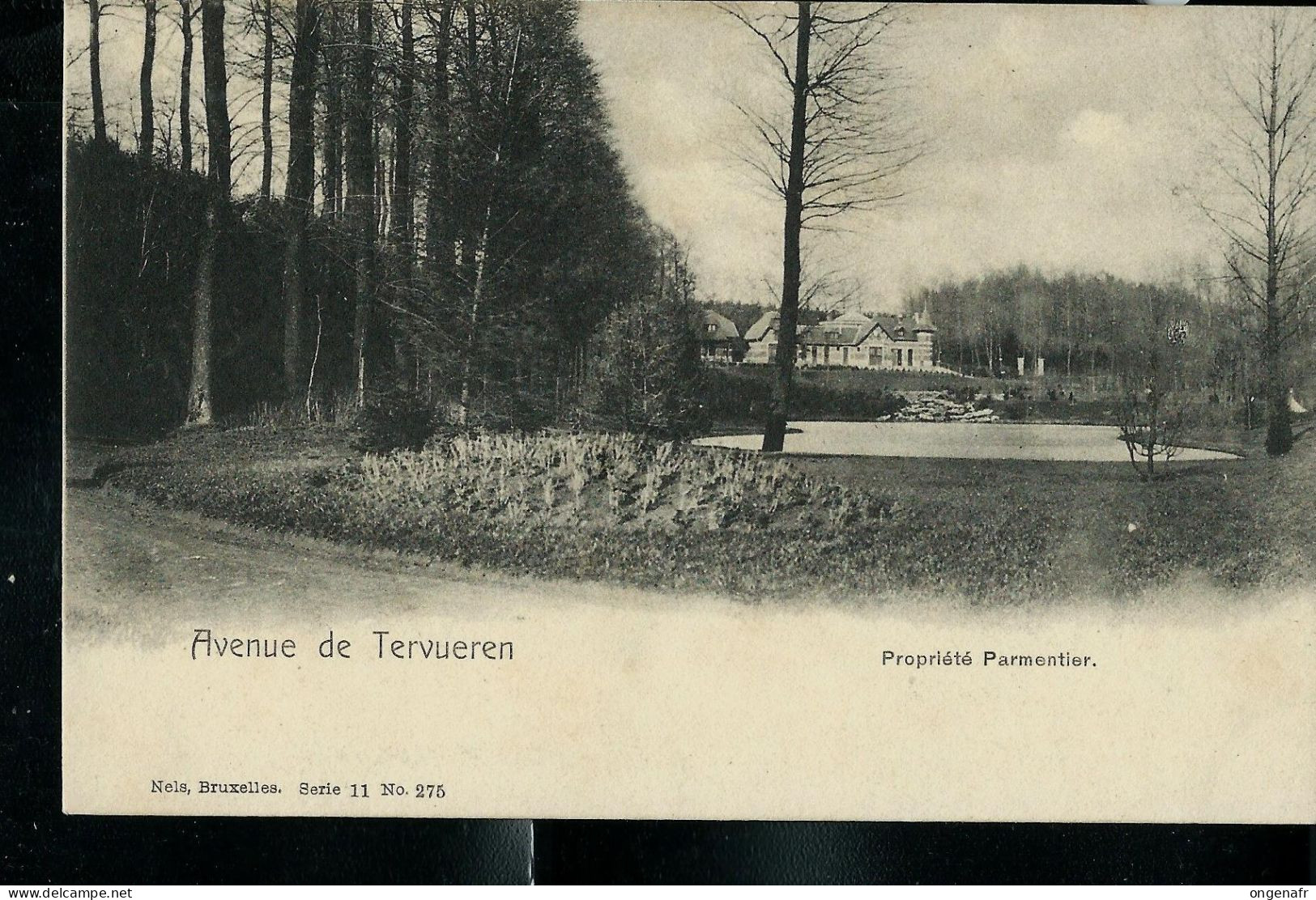 Avenue De Tervuren - Propriété Parmentier  ( Neuve ) - Woluwe-St-Lambert - St-Lambrechts-Woluwe