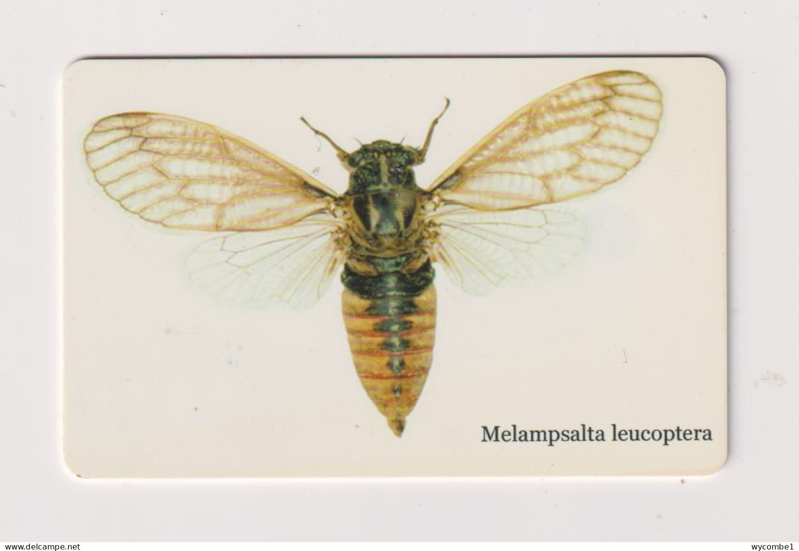 SOUTH  AFRICA - Cicada Chip Phonecard - South Africa