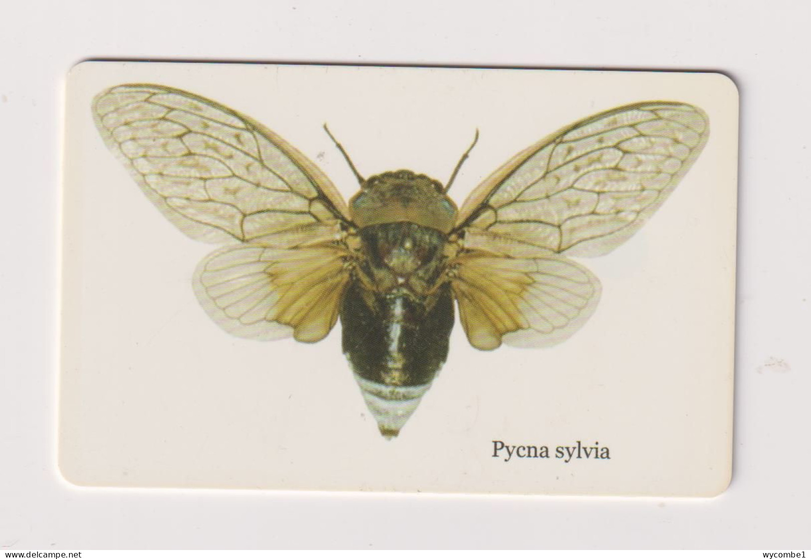 SOUTH  AFRICA - Cicada Chip Phonecard - Südafrika