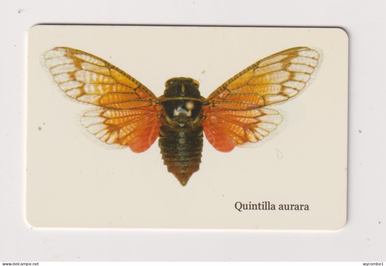 SOUTH  AFRICA - Cicada Chip Phonecard - Afrique Du Sud