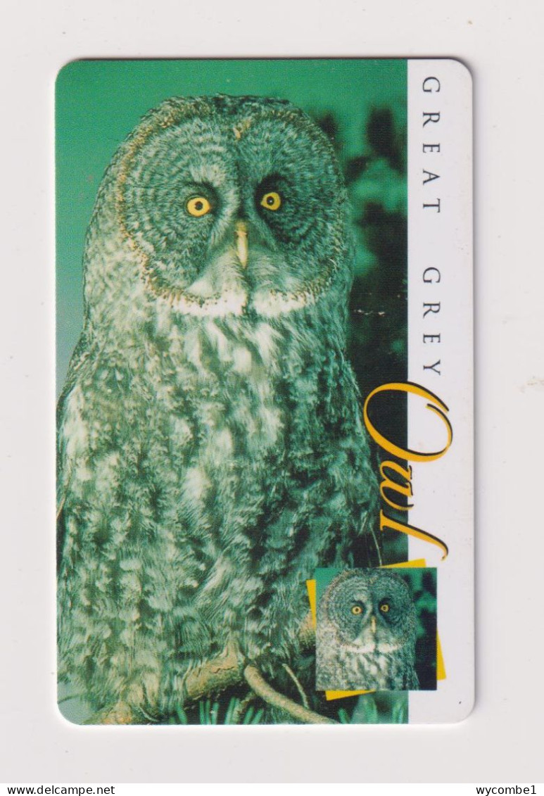 SOUTH  AFRICA - Great Grey Owl Chip Phonecard - Sudafrica