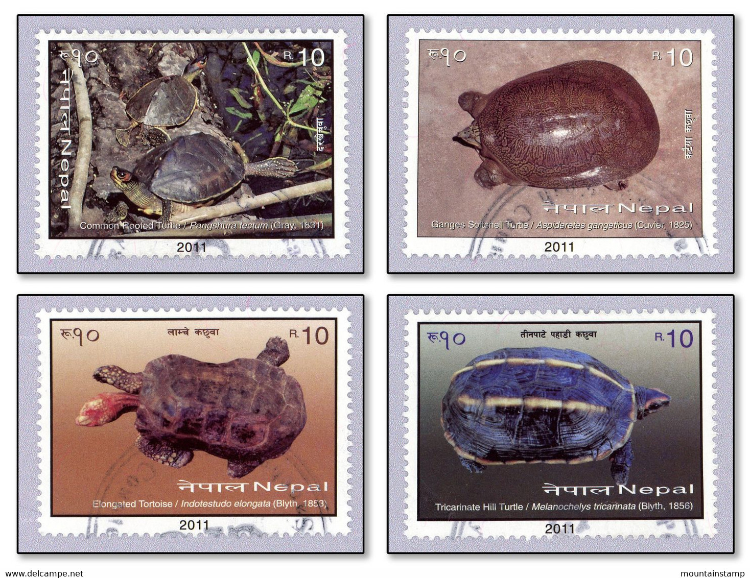 Nepal 2011 Schildkröten Turtles Ganges Soft-shell Turtle - Elongated Tortoise - ... - Locally Used No Gum - Nepal