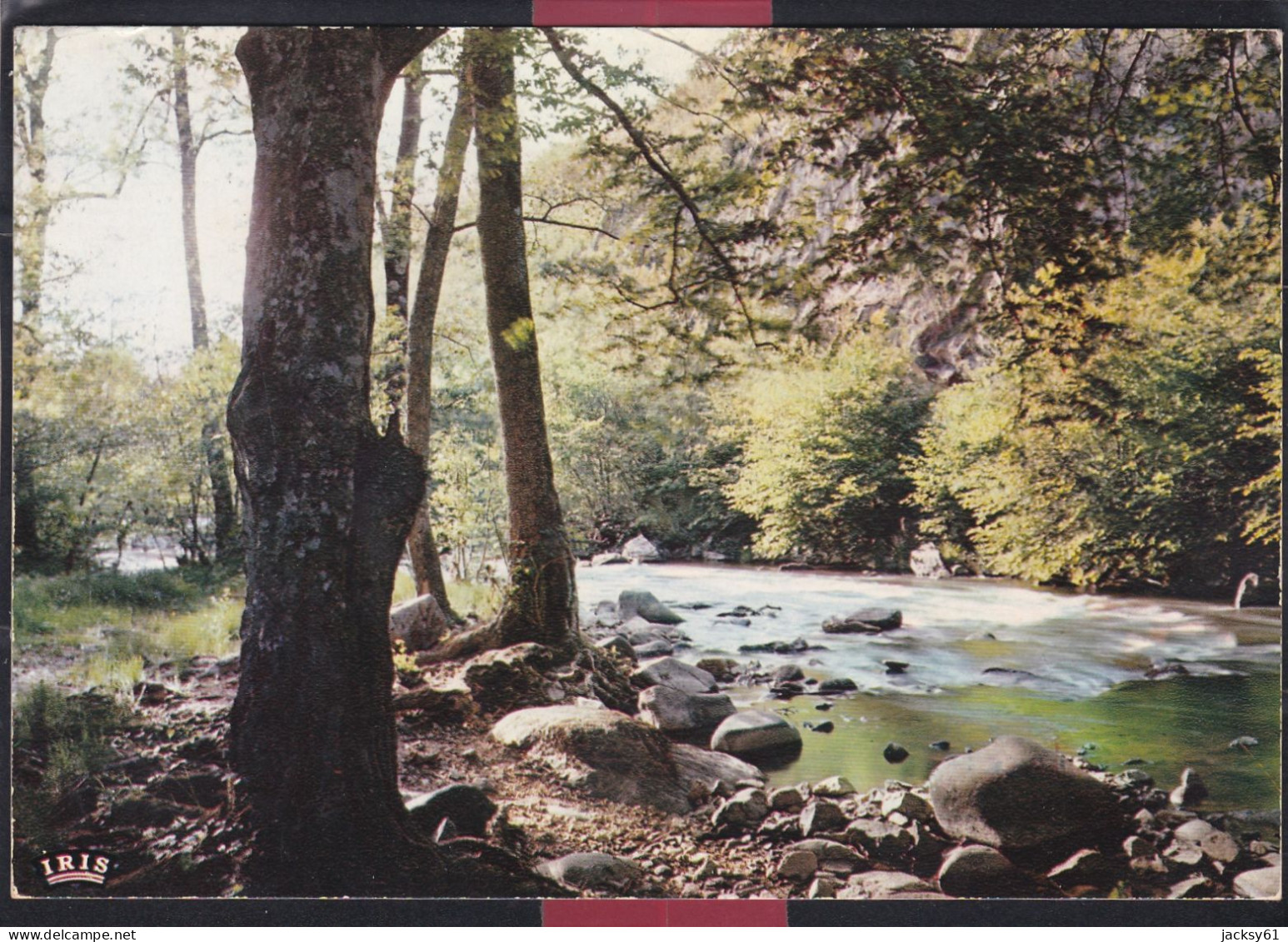 89 - Reflets Du Morvan - Les Bords Du Cousin - Bourgogne