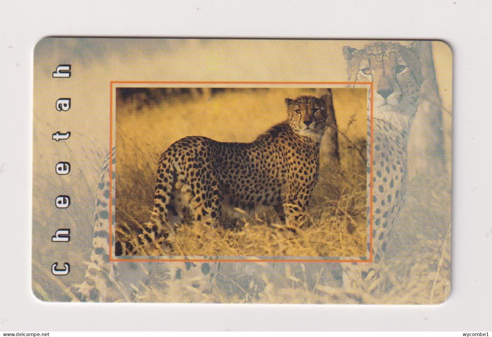 SOUTH  AFRICA - Cheetah Chip Phonecard - Afrique Du Sud