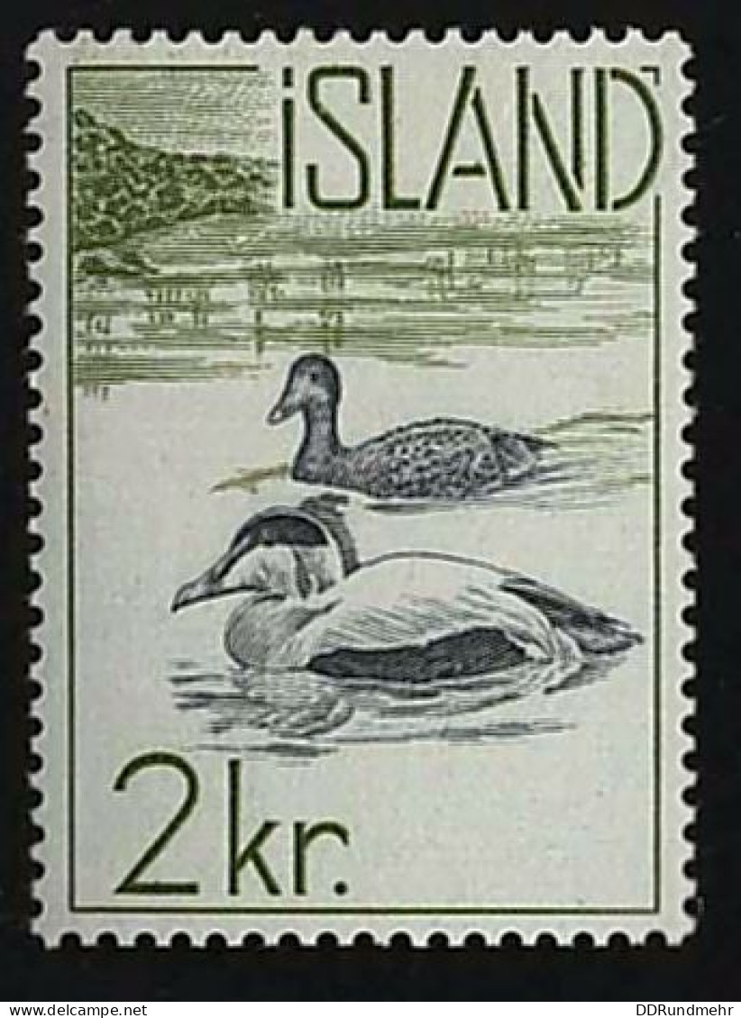 1959 Common Eider Michel IS 337 Stamp Number IS 321 Yvert Et Tellier IS 296 Stanley Gibbons IS 370 AFA IS 338 Xx MNH - Nuovi