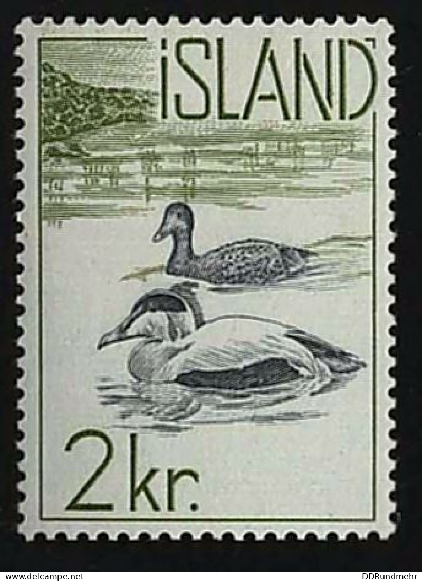 1959 Common Eider Michel IS 337 Stamp Number IS 321 Yvert Et Tellier IS 296 Stanley Gibbons IS 370 AFA IS 338 Xx MNH - Ongebruikt