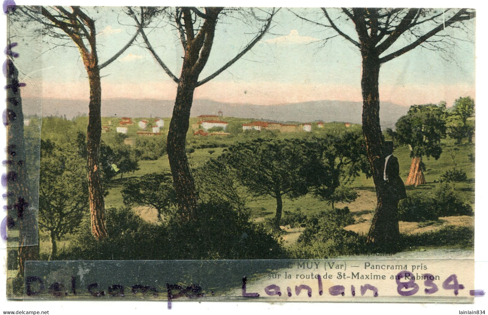 -  LE MUY - ( Var ), Panorama Pris Sur La Route De St Maxime, Peu Courante,  Non écrite, TTBE, Scans. - Le Muy