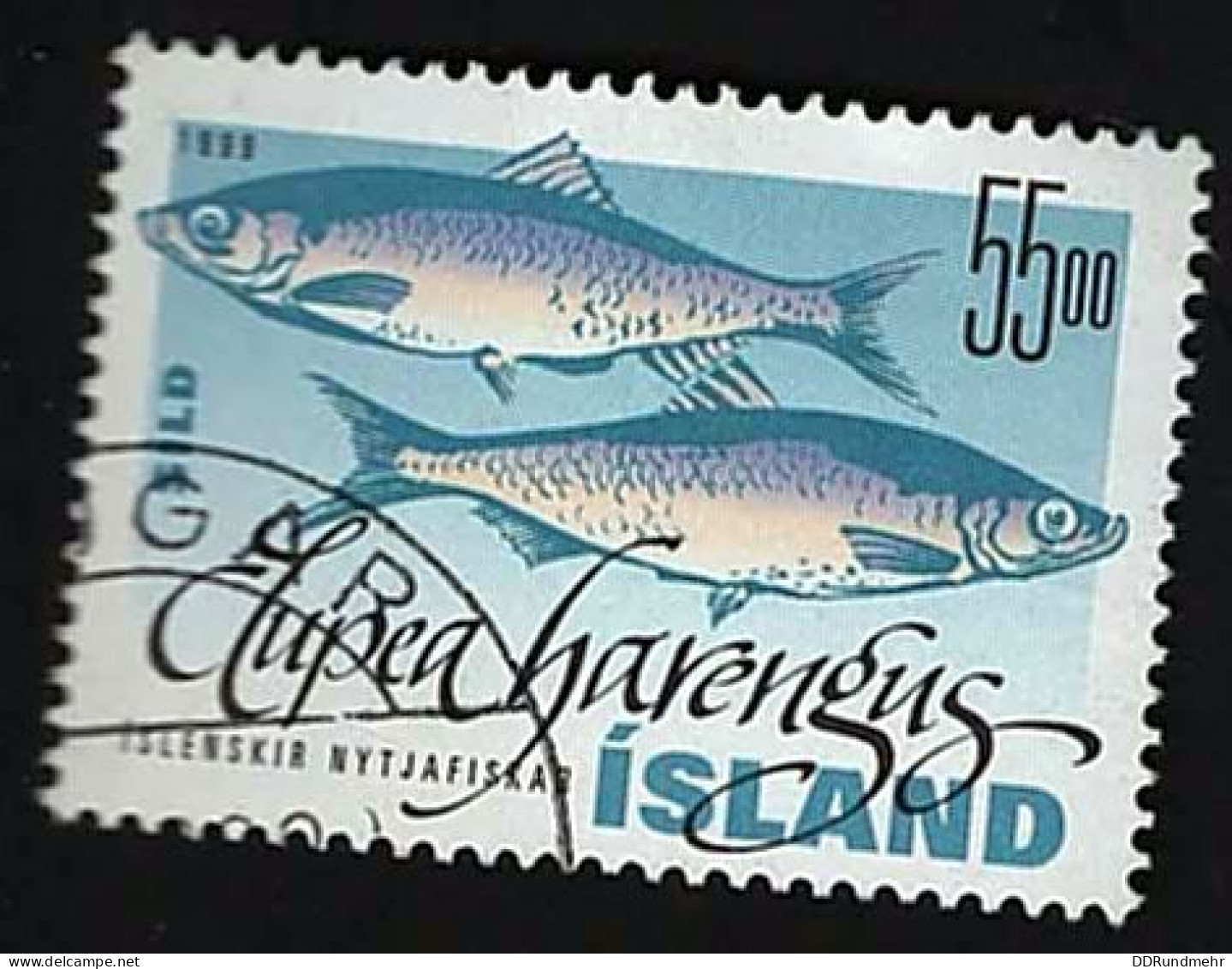 1999 Atlantic Hering Michel IS 904 Stamp Number IS 872 Yvert Et Tellier IS 857 Stanley Gibbons IS 914 AFA IS 889 Used - Usati