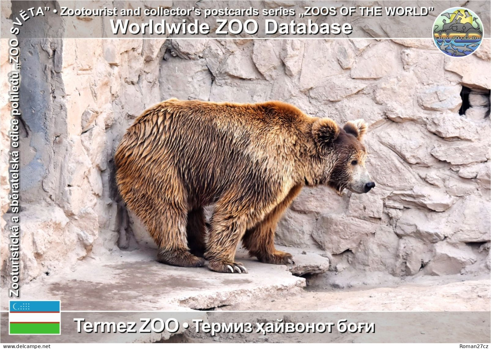 01435 WZD • ZOO - Termez ZOO, UZ - Himalayan Brown Bear (Ursus Arctos Isabellinus) - Ouzbékistan