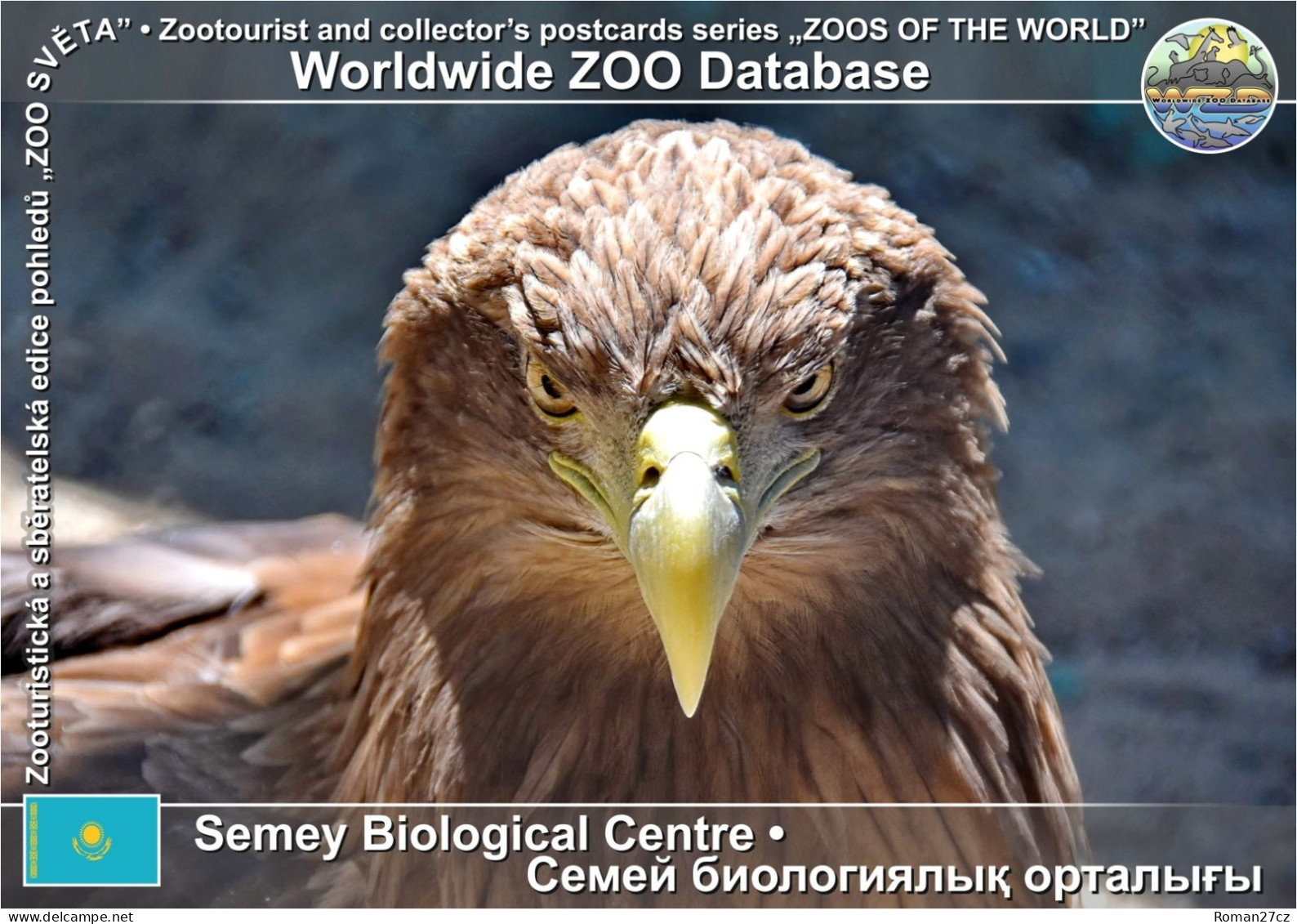 01437 WZD • ZOO - Semey Biological Centre, KZ - White-tailed Eagle (Haliaeetus Albicilla) - Kasachstan