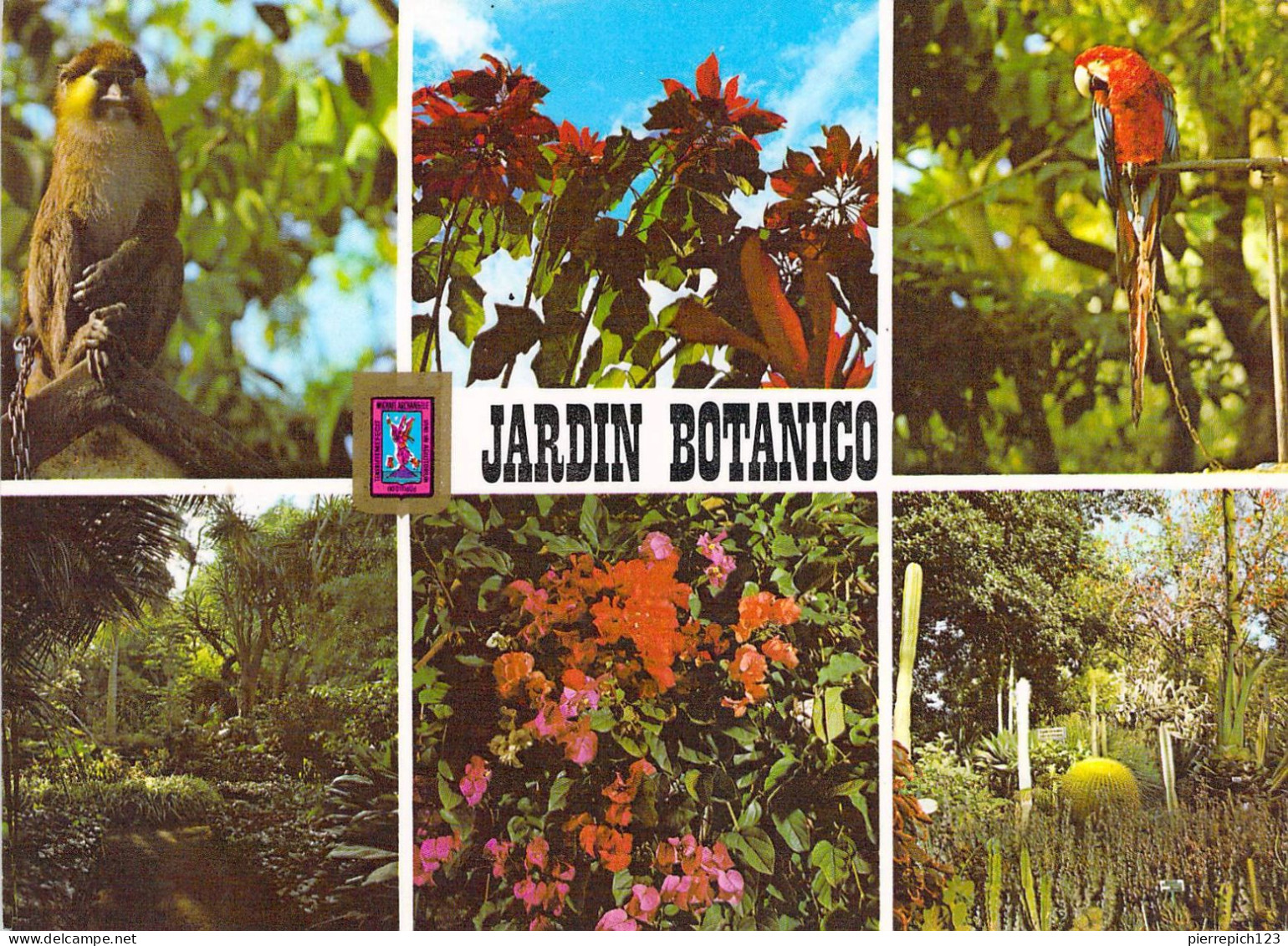 La Orotava - Jardin Botanique - Multivues - Andere & Zonder Classificatie