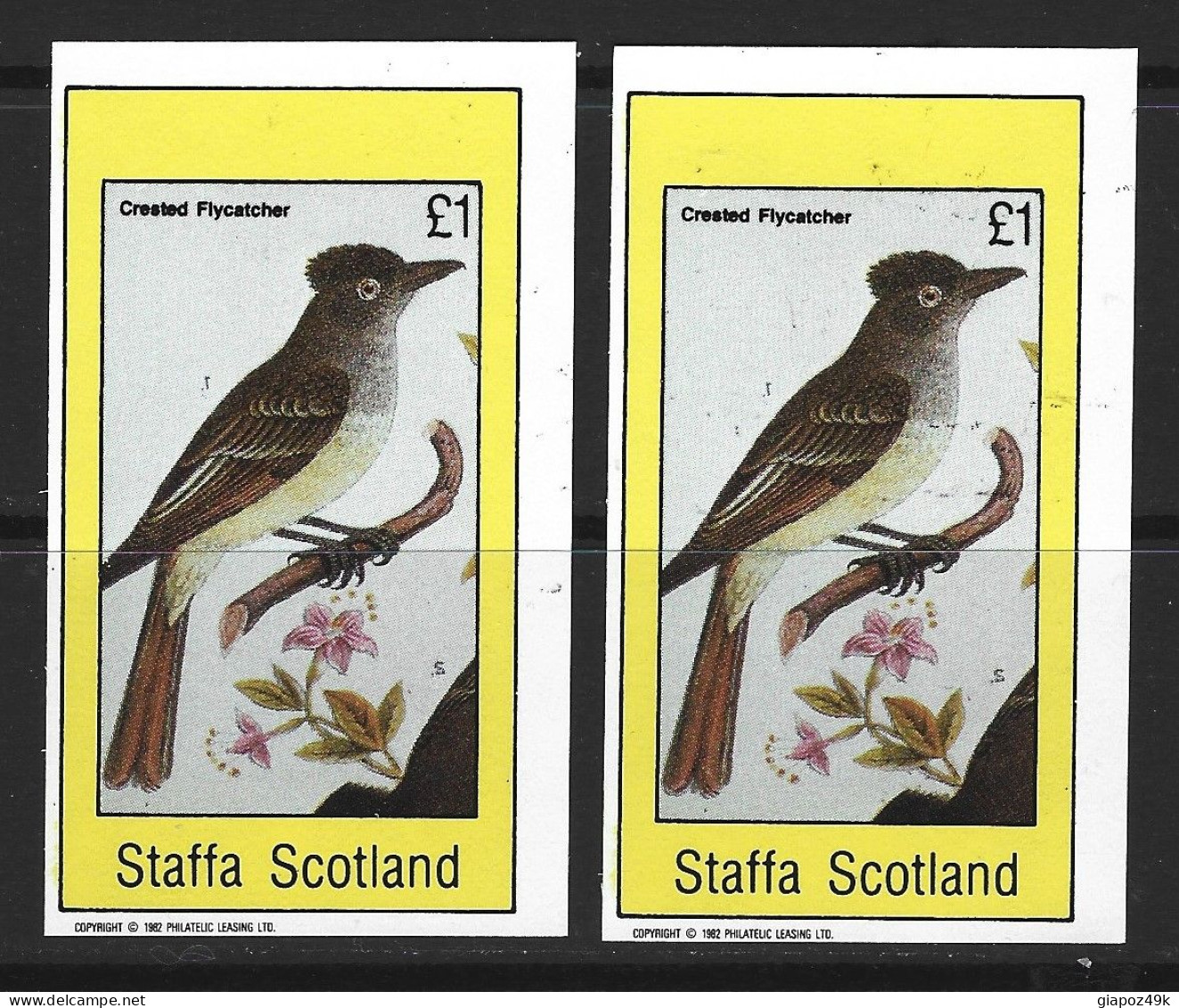 ● STAFFA Scotland 1982 ֍ ️Crested Flycatcher ● Bird ● BF ● NON Dentellato ● £ 1 ● Lotto N.XX ● - Schottland