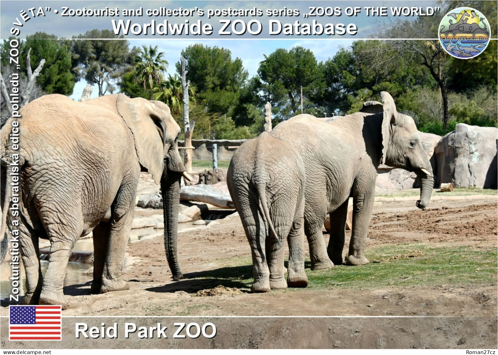 01459 WZD • ZOO - Reid Park ZOO, US - African Bush Elephant (Loxodonta Africana) - Tucson