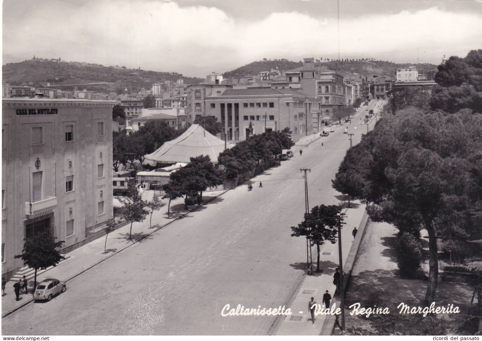 Cartolina Caltanissetta - Viale Regina Margherita - Caltanissetta