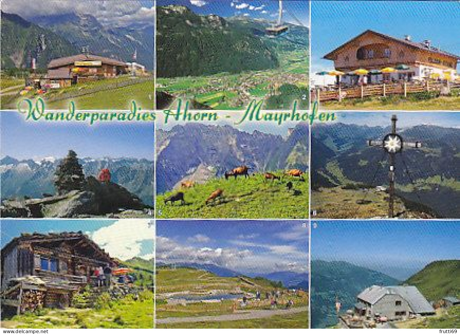 AK 202281 AUSTRIA - Wanderparadies Ahorn - Mayrhofen - Zillertal