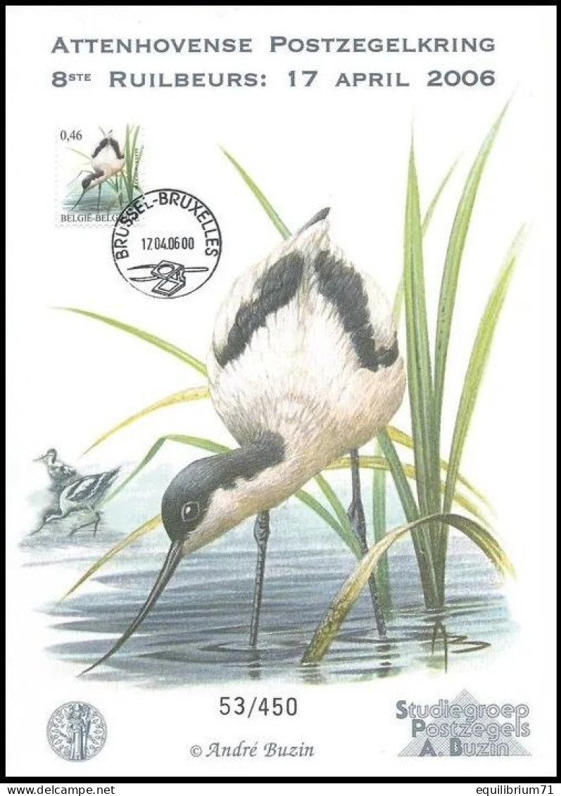 CS/HK° A5 - Avocette/Kluut/Säbelschnäbler- BSL-BXL  17-04-2006 - BUZIN - Cercle D'Ottoncourt/Attenhovense Postzegelkring - Storks & Long-legged Wading Birds